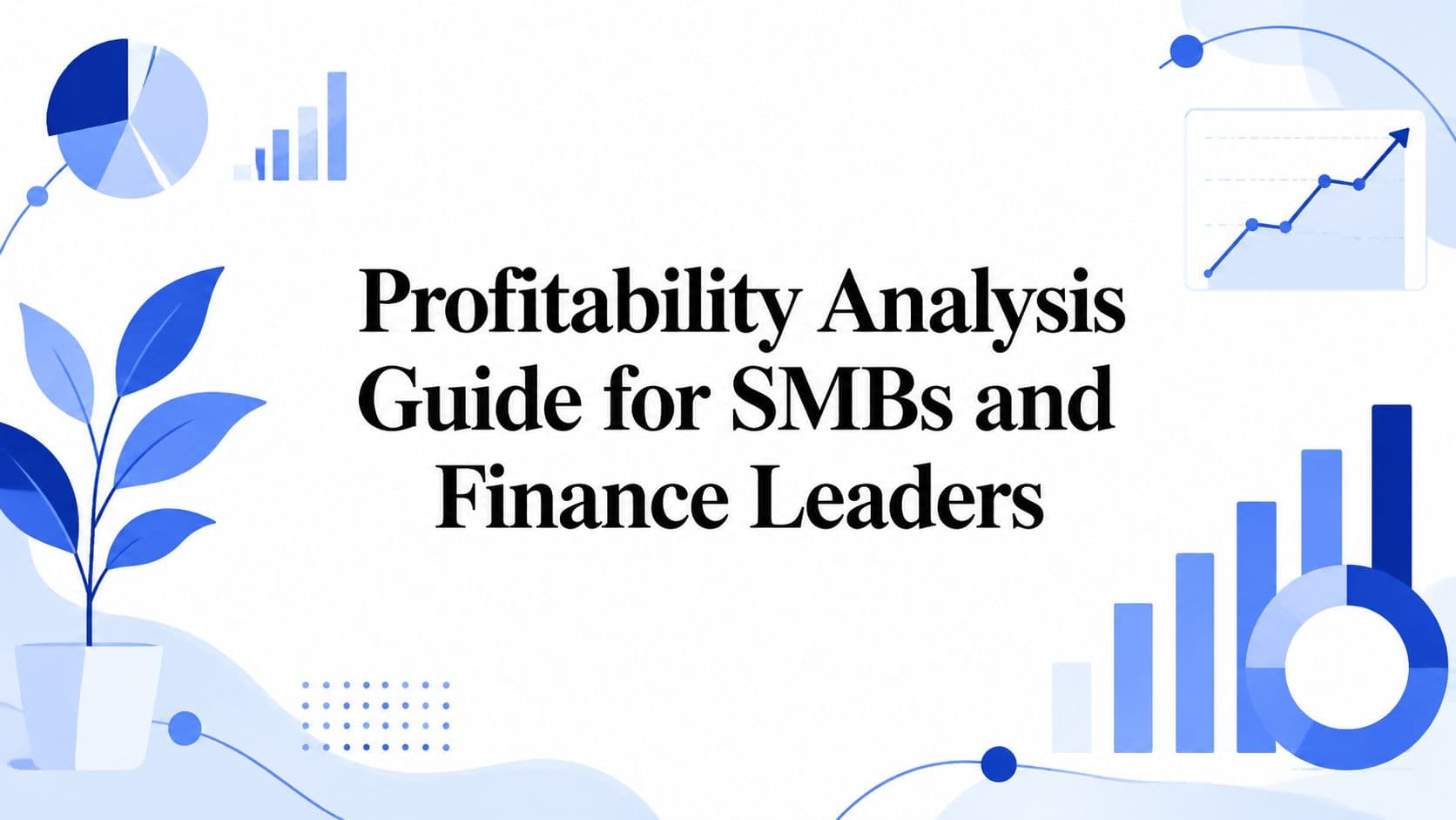 Profitability Analysis Guide for SMBs and Finance Leaders